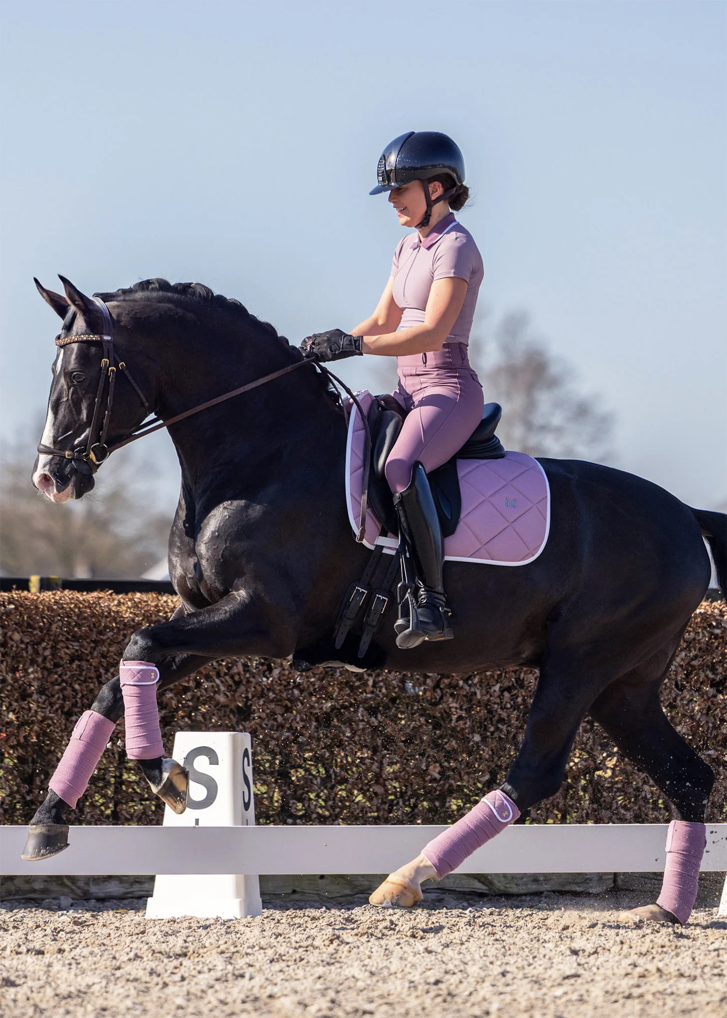 Crew Dressage Saddle Pad (Mauve) - Image 6