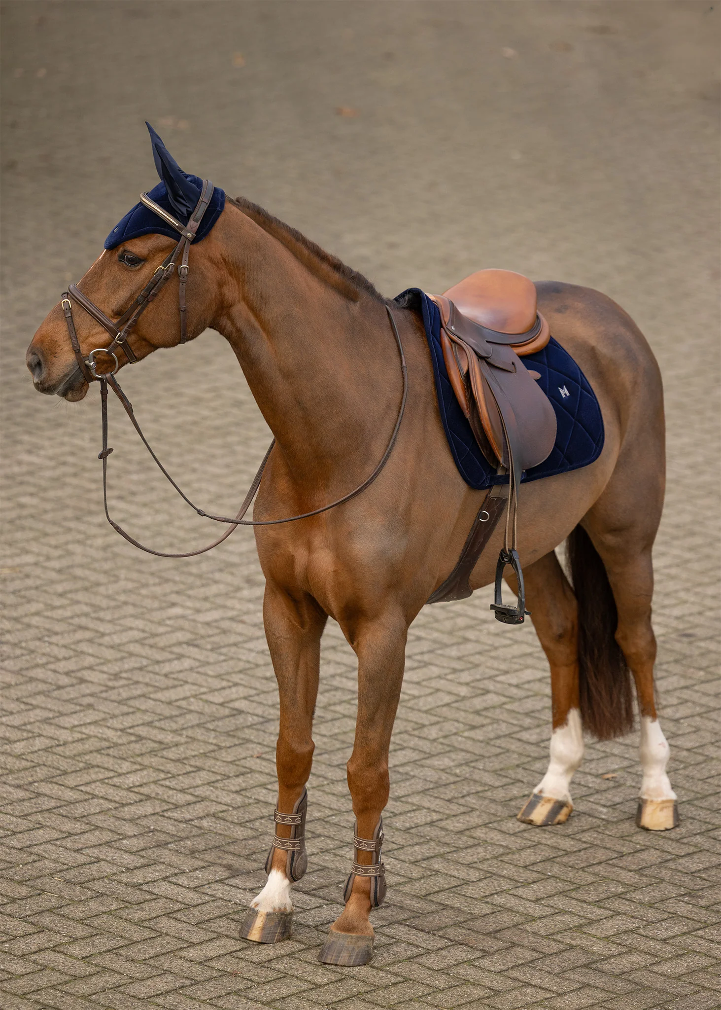 Velvet Jumping Saddle Pad (Sapphire) - Image 3